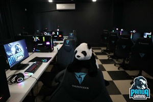 Киберклуб Panda Gaming