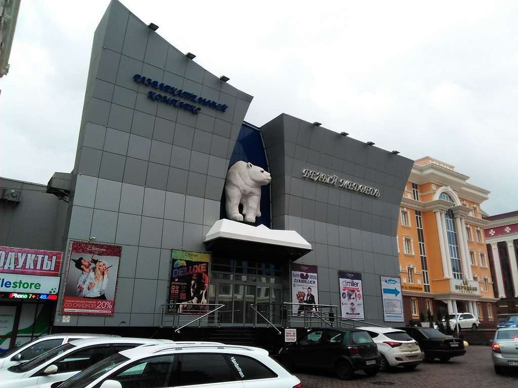 Белый медведь