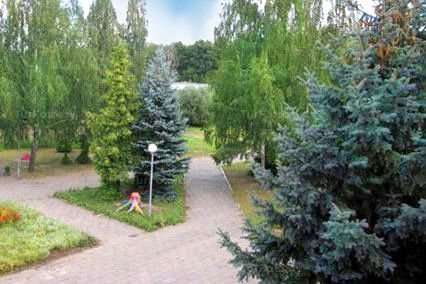 Детский реабилитационно-оздоровительный центр Кристалл