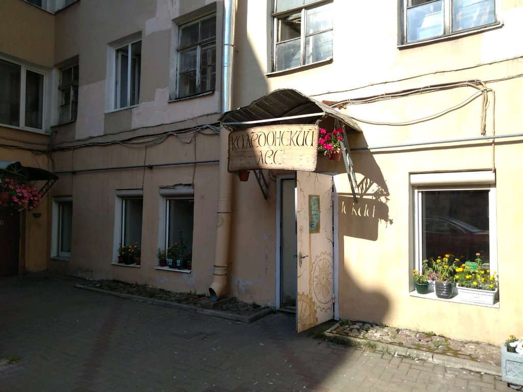 Каледонский лес