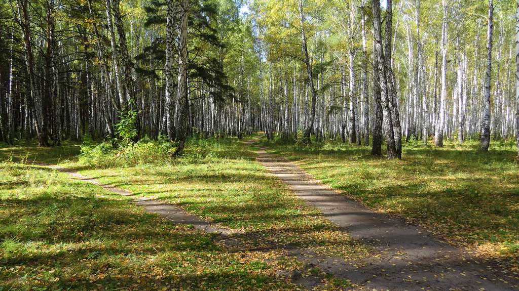 парк имени Юрия Алексеевича Гагарина