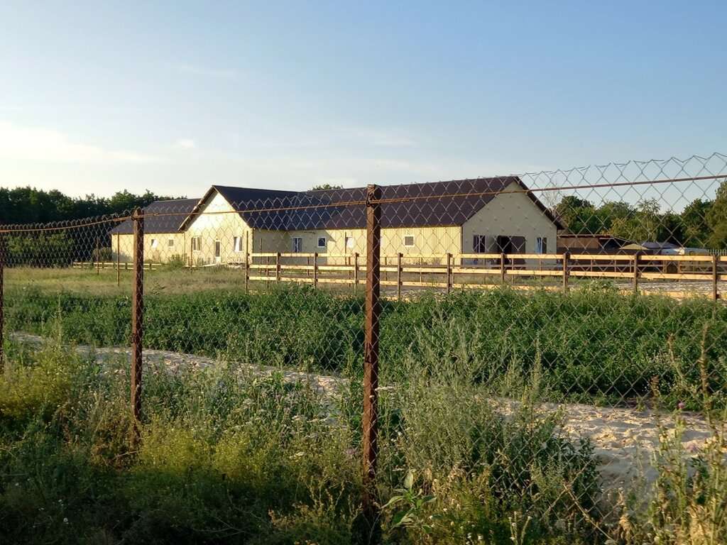 Мой талисман