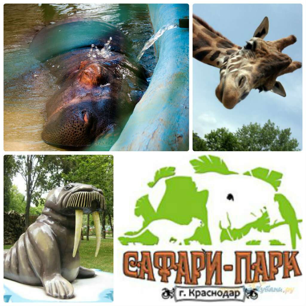 Сафари-Парк