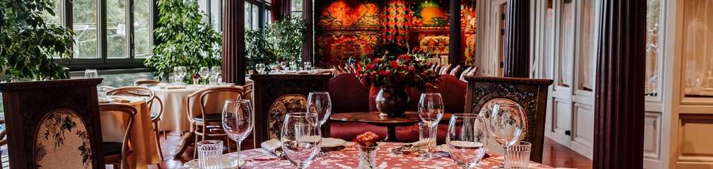 Супра Романи