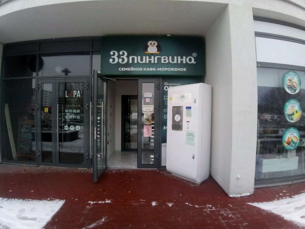 33 Пингвина