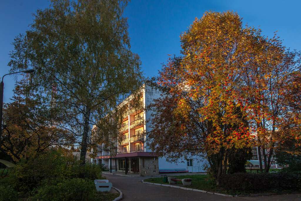 Красный бор