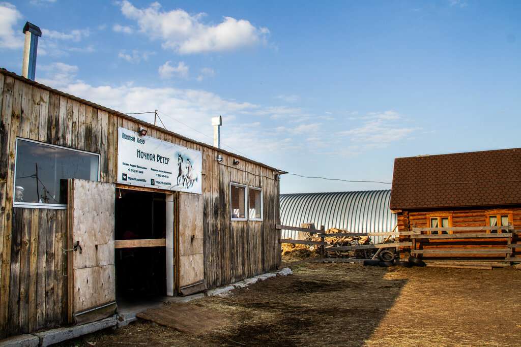 Ночной Ветер