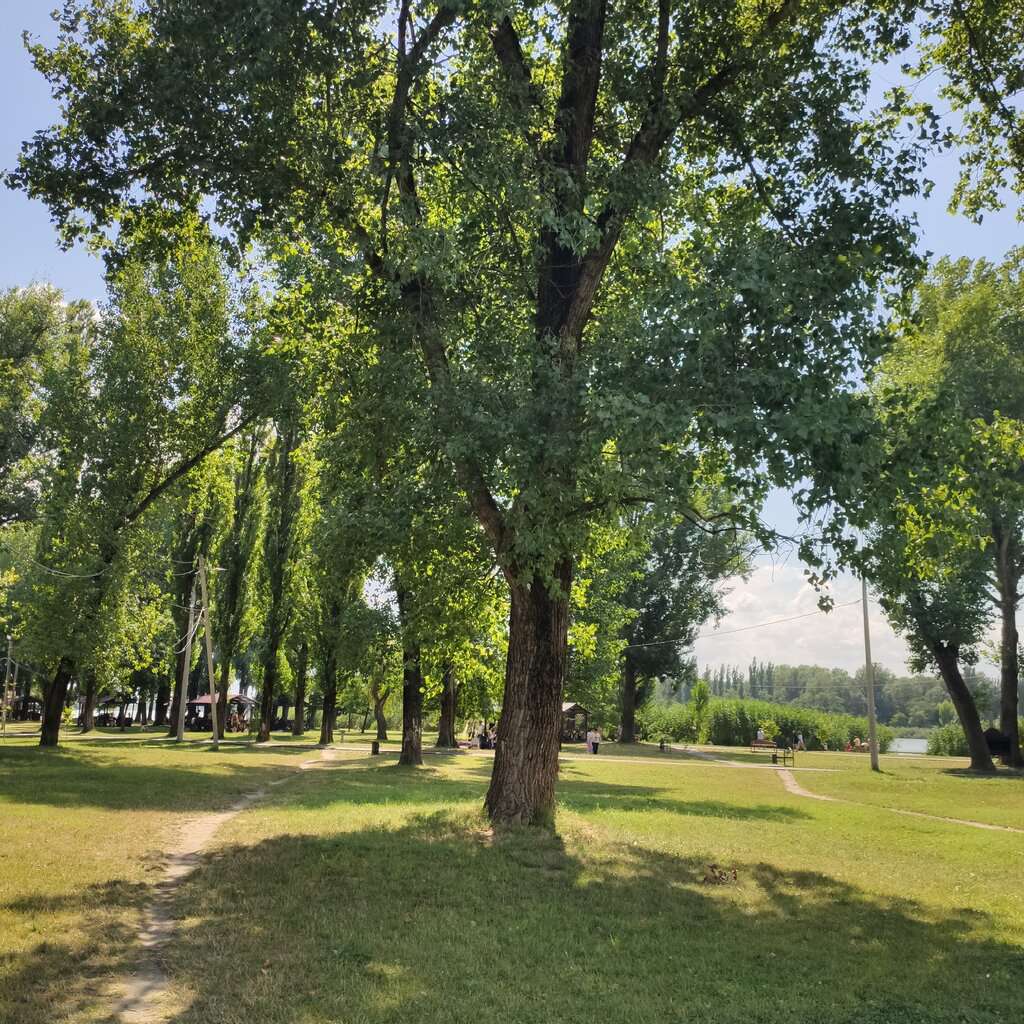 Городской парк Старая Кубань