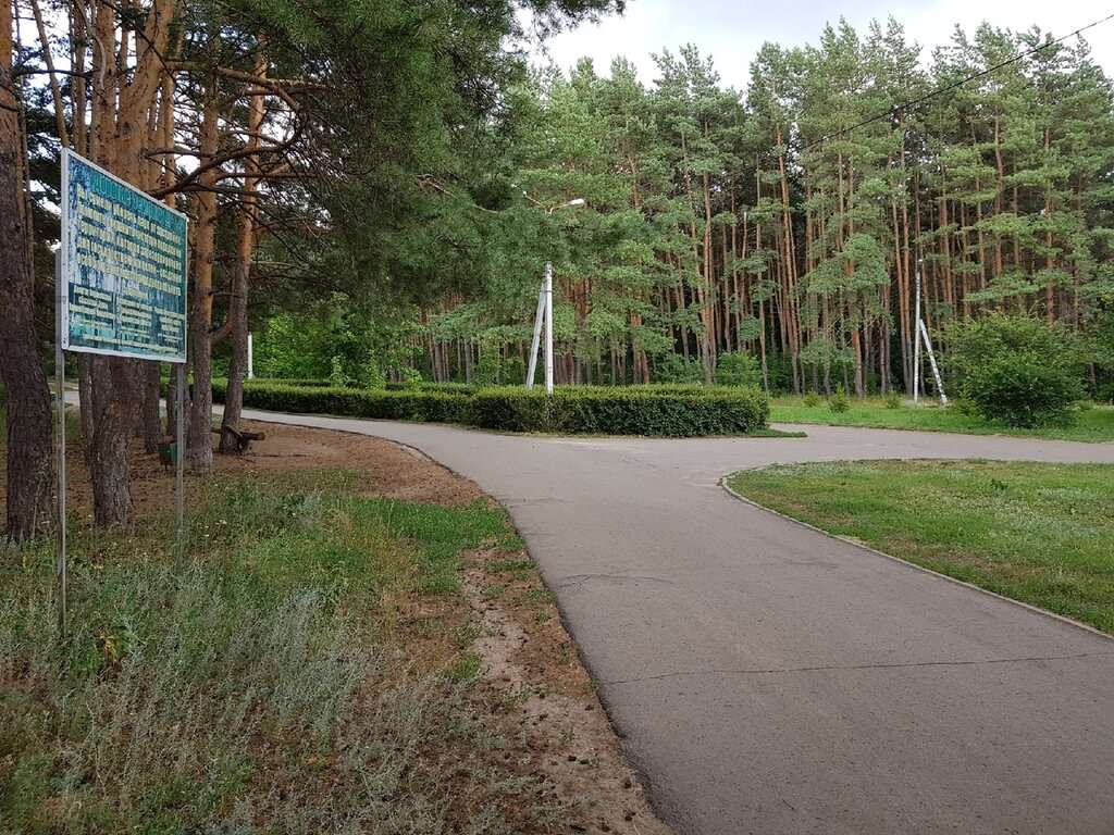 Лесопарк Оптимистов