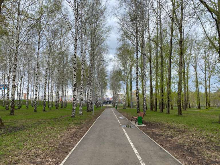 Экопарк на Моховой