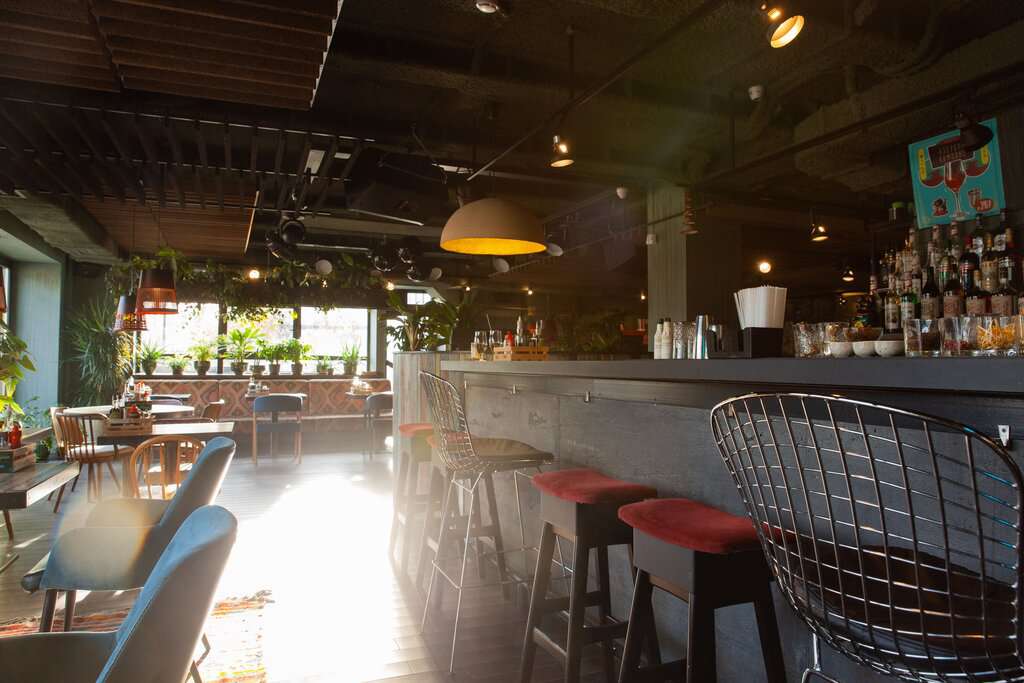 Луна и Черепаха