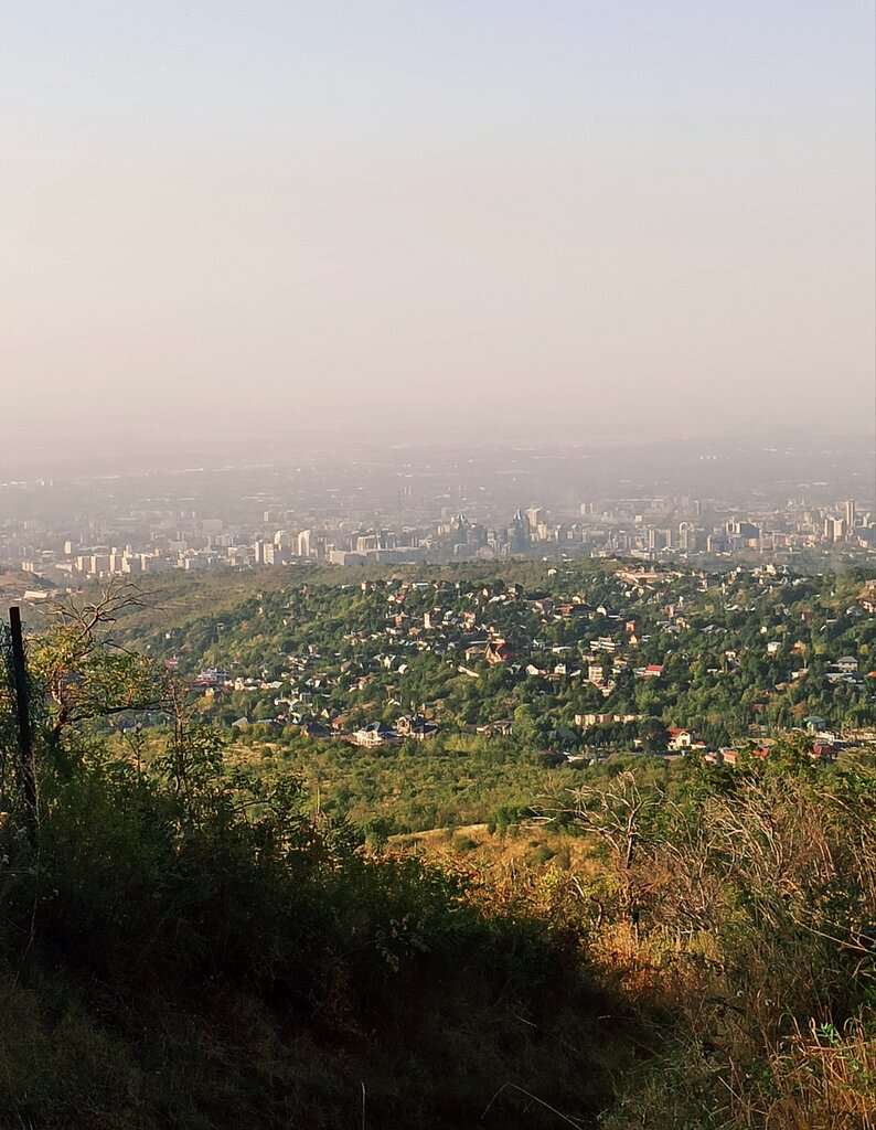 Выше города