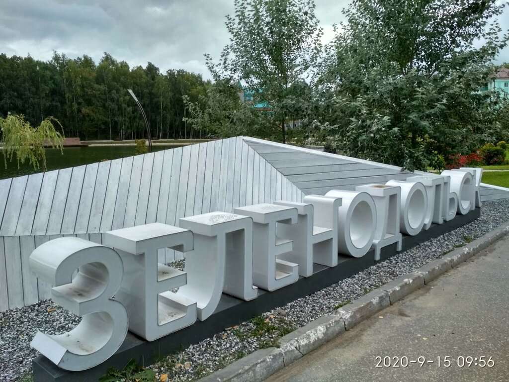 Зеленодольский символический знак