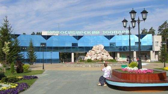 Новосибирский зоопарк имени Р.А. Шило