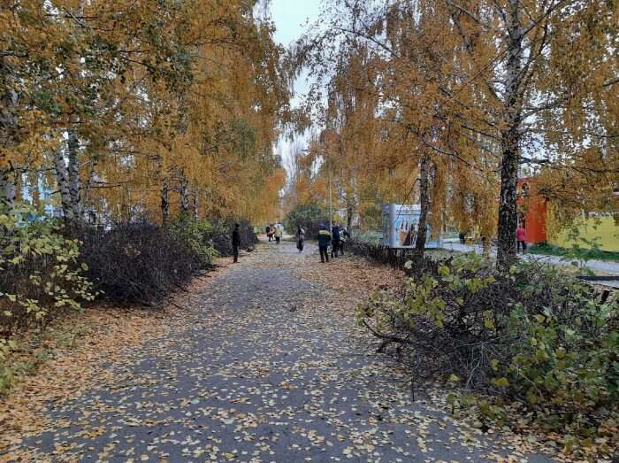 Аллея Карбышева