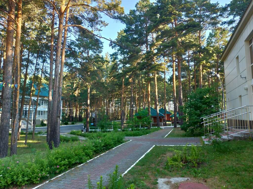 Центр восстановительной медицины и реабилитации Снежинка