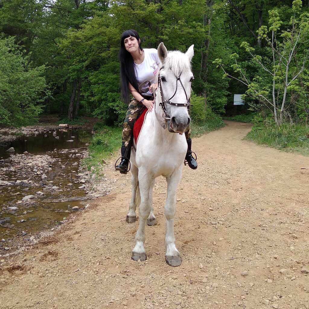 Кавалькада