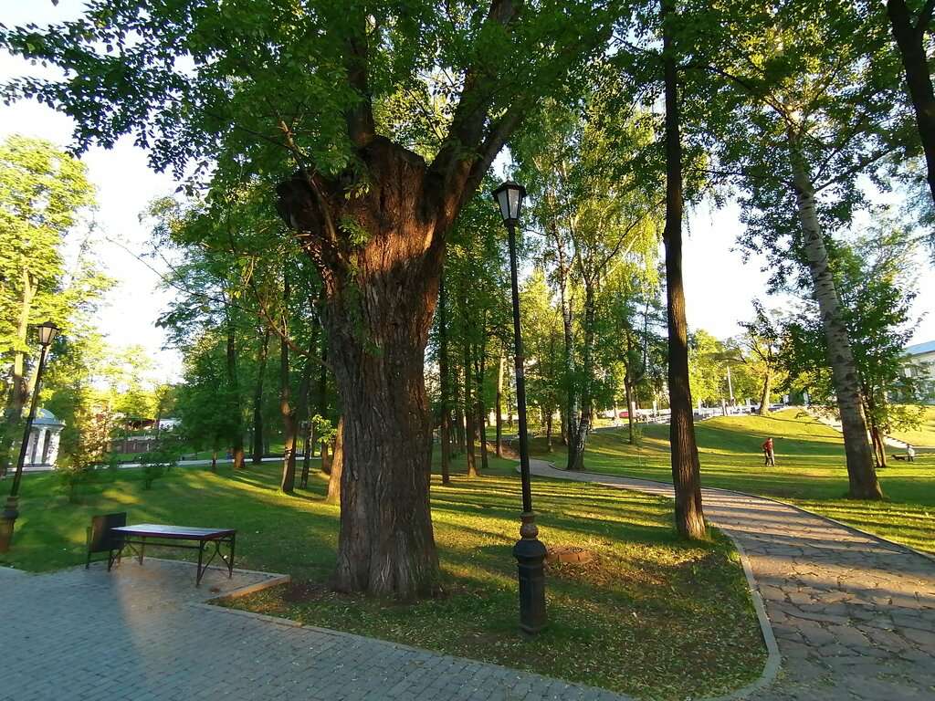 Райский сад