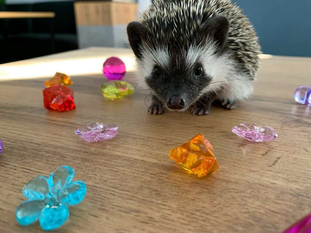 Ежеминутка