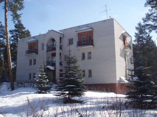 Большая медведица