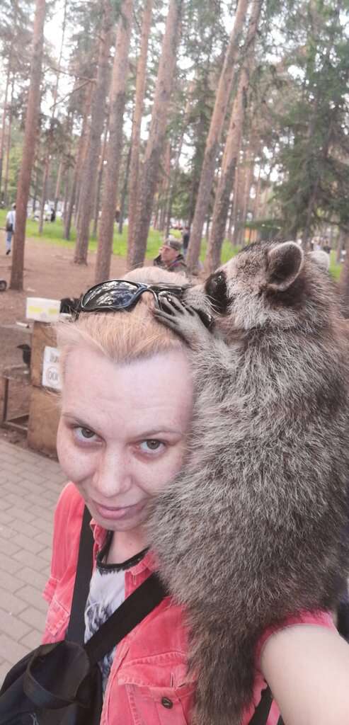 Центральный парк культуры и отдыха имени Ю.А. Гагарина, площадка аттракционов