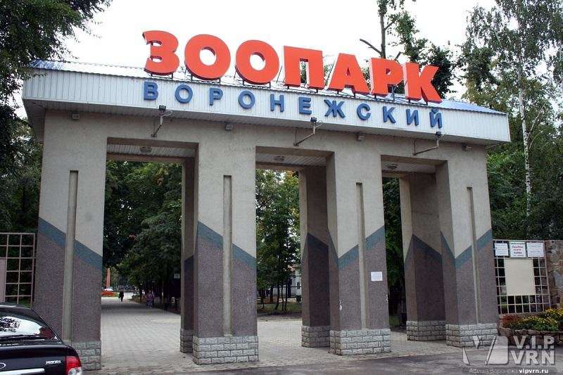 Воронежский зоопарк