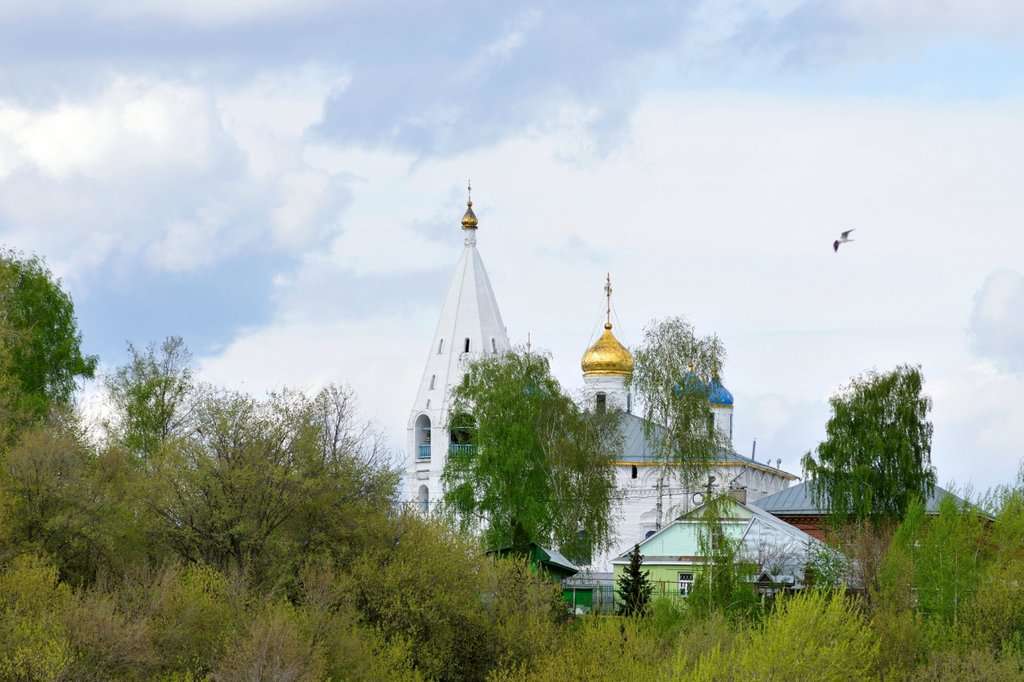 Собор Введения во храм Пресвятой Богородицы