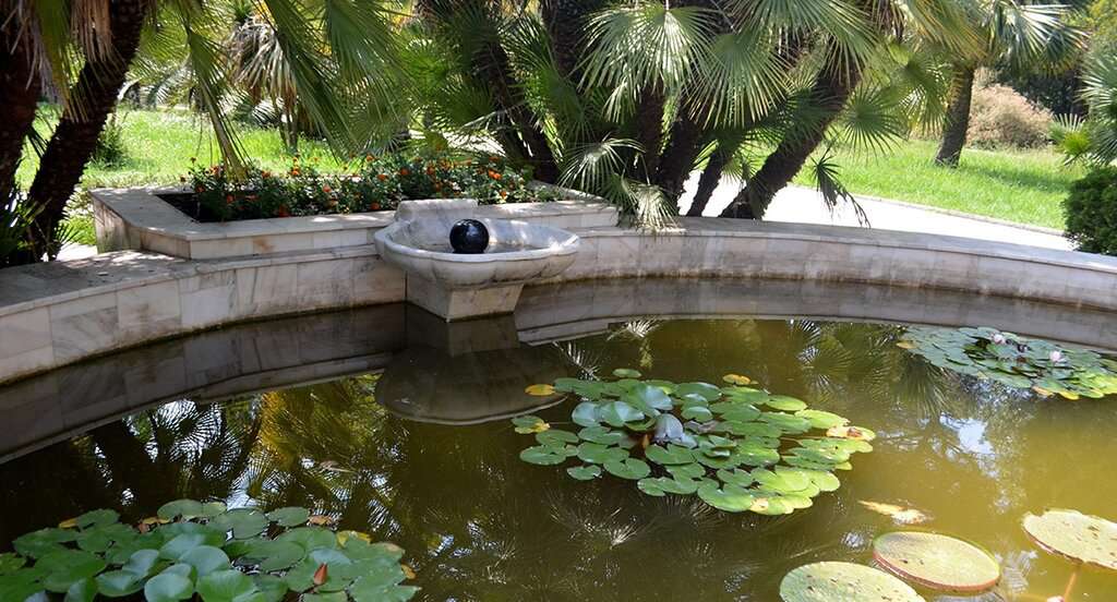 Бассейн Ракушка