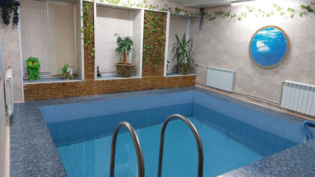 Серебряная акула