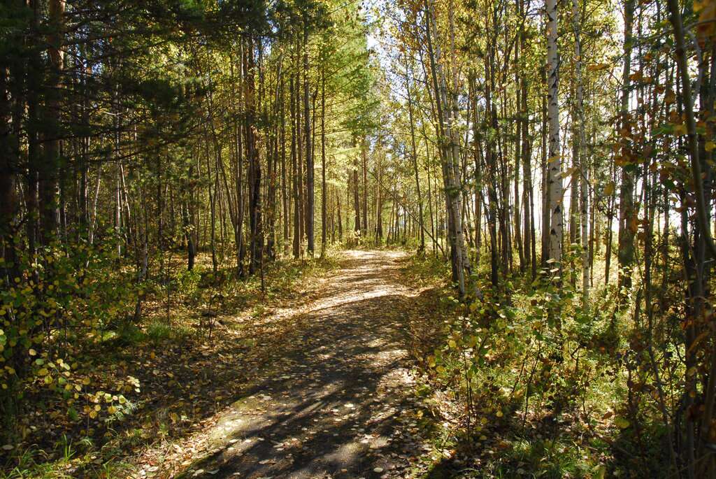 Областное государственное автономное учреждение здравоохранения Санаторий Юбилейный