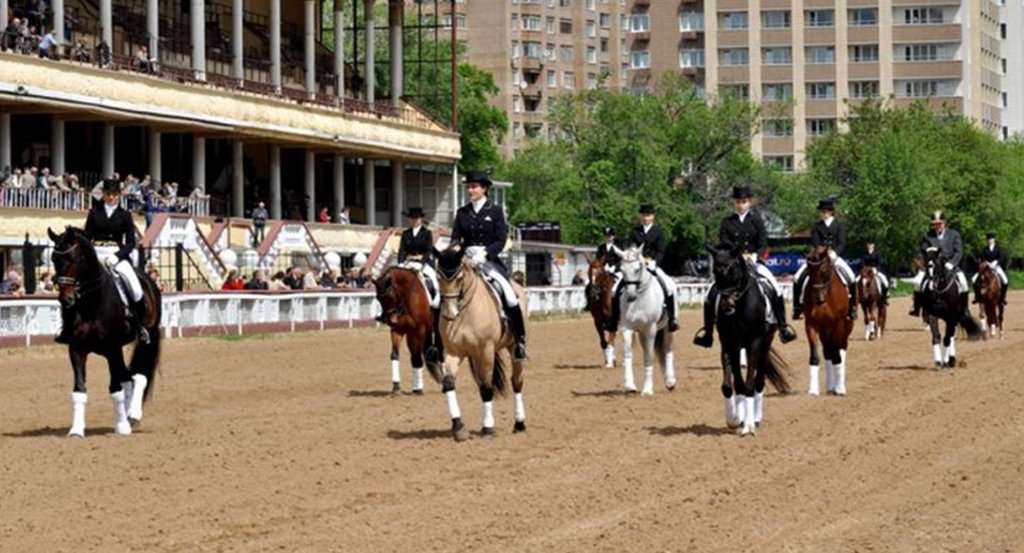 Конная школа Марины Воробьевой