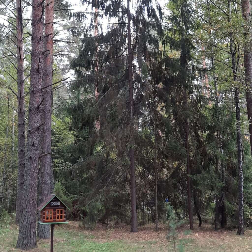 База Эмеральд Спорт