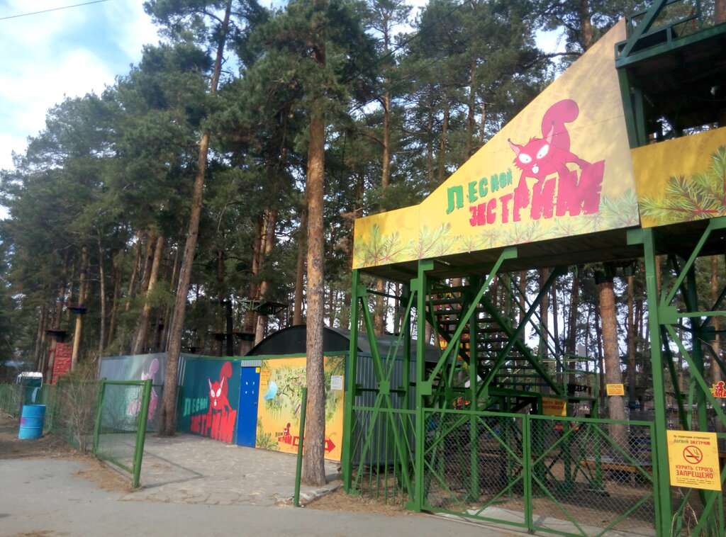 Лесной экстрим