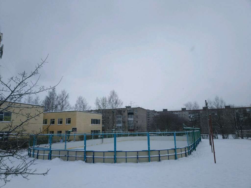 Фаворит