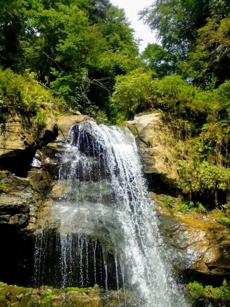 Дендропарк