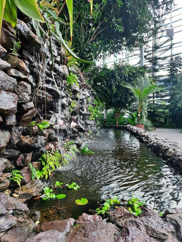 Ботанический сад КемГУ