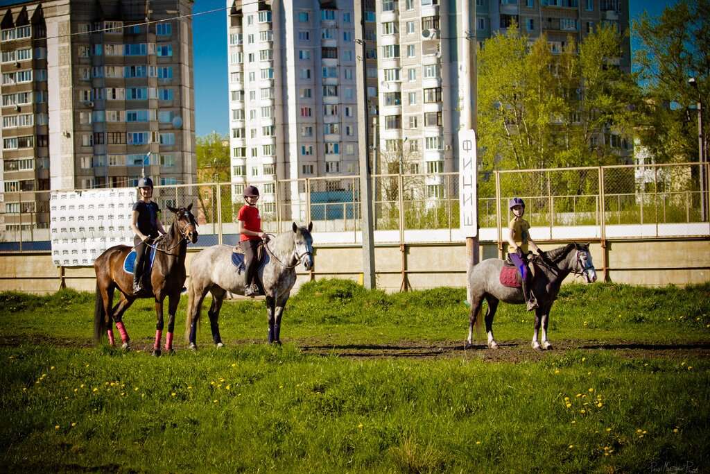 Конно-спортивный центр им. Натальи Серовой