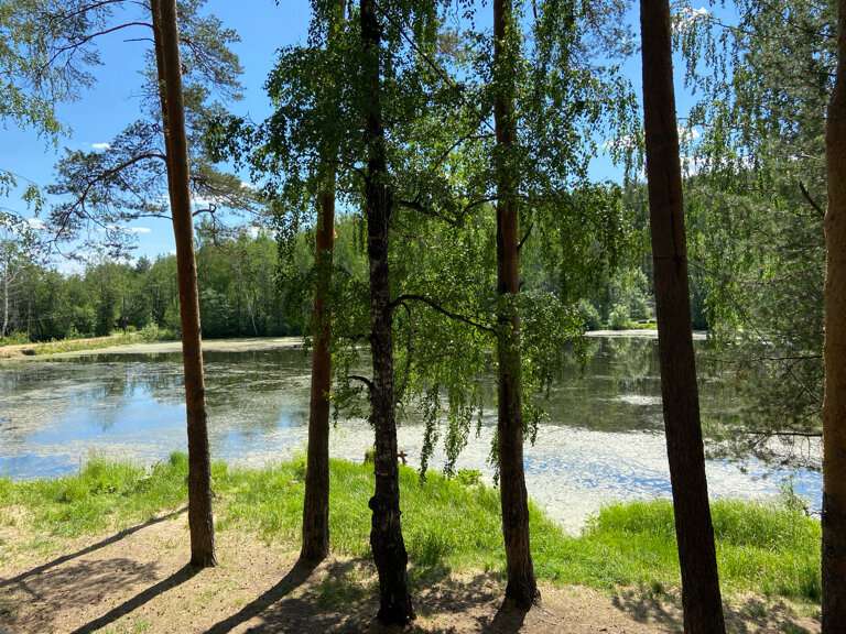 Мистер Фишер