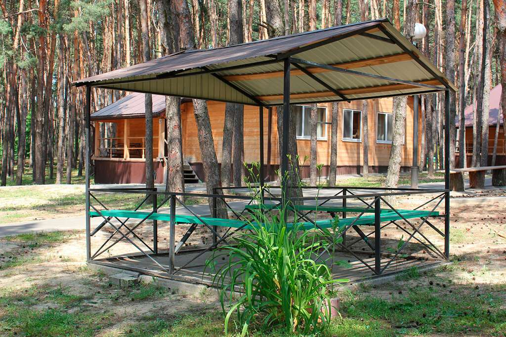 Сосновый бор