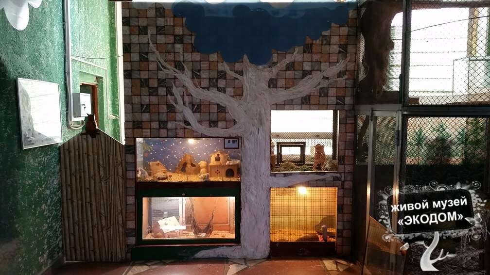 Живой музей Экодом