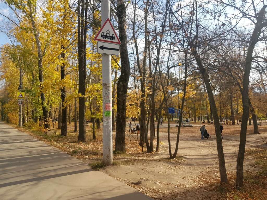 Берёзовая роща