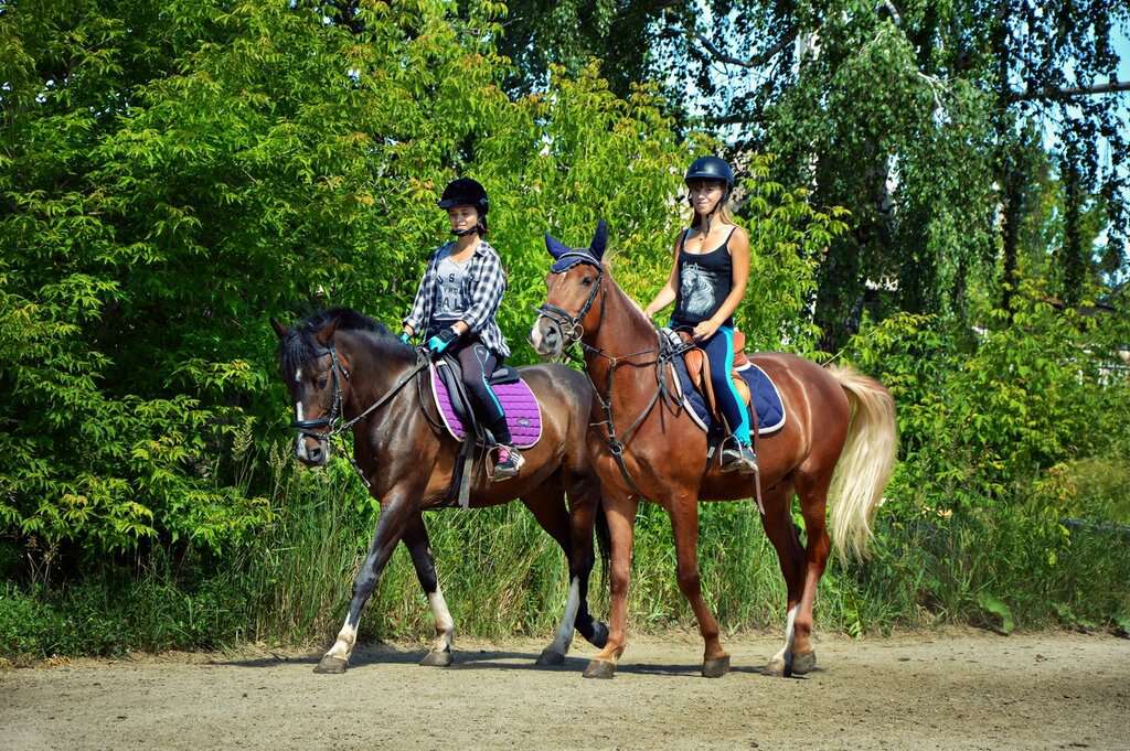 Конный двор