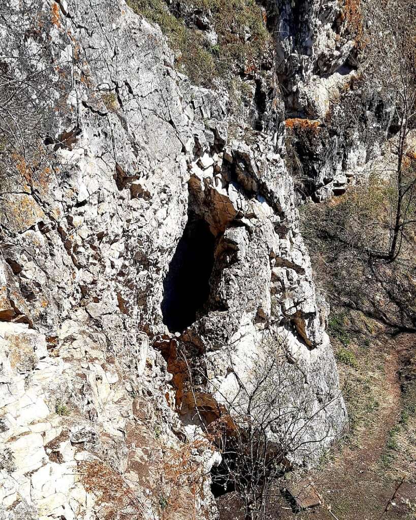 Пещерный лог