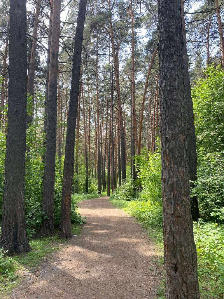 Инюшенский парк