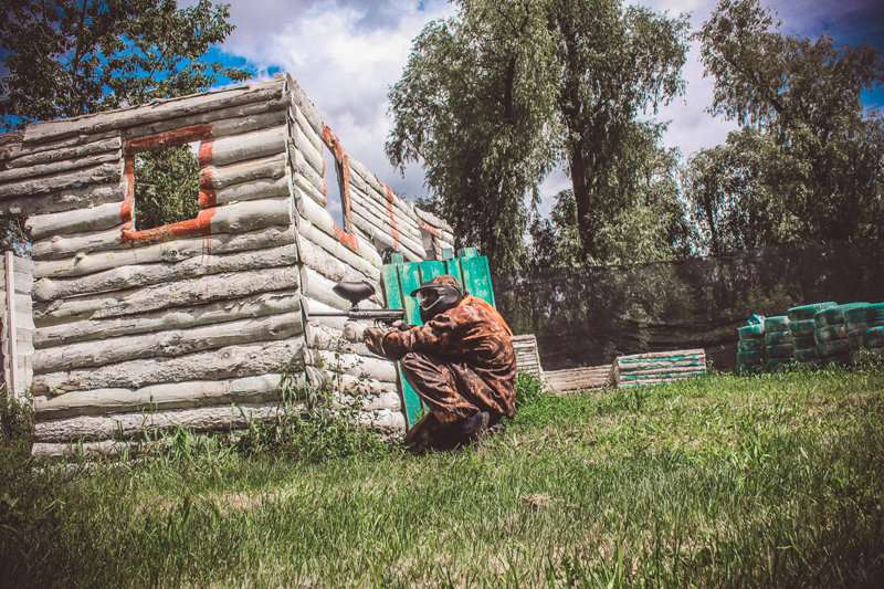 Бешеный хомяк