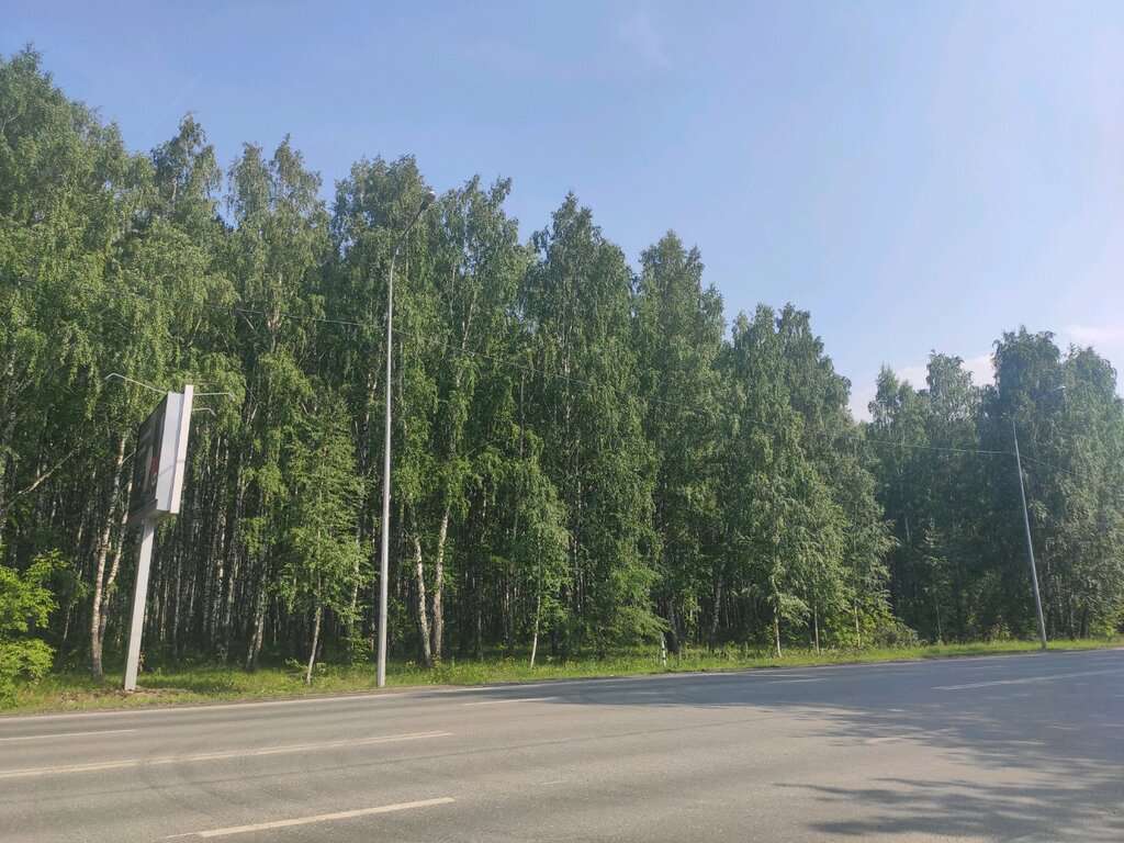 Ватутинская роща