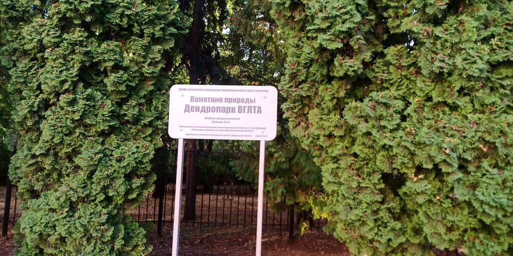 Дендрарий Вглту