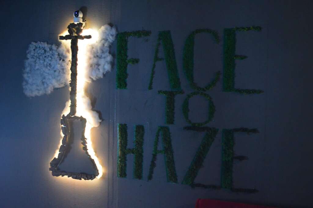 Face to Haze