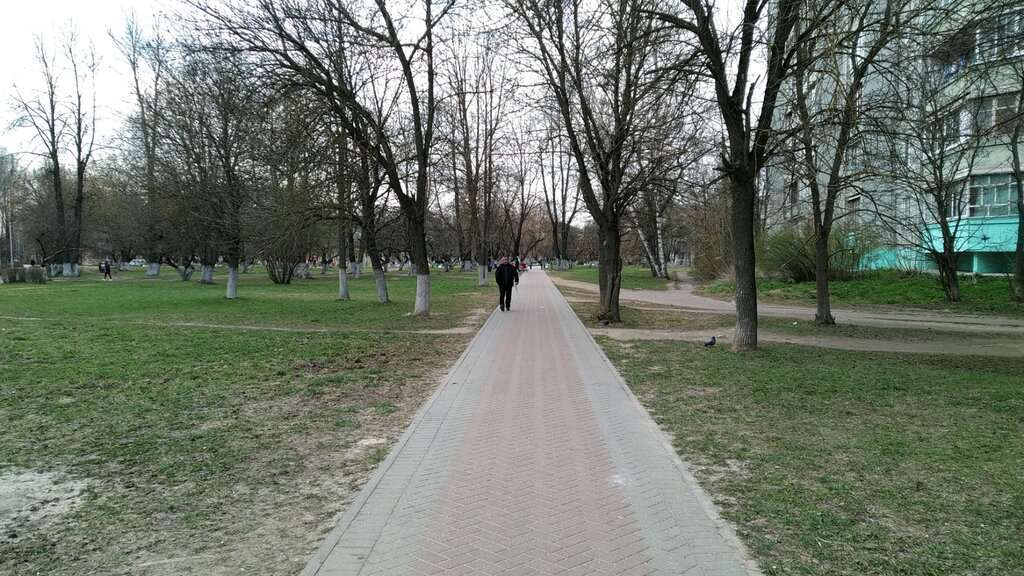 Яблоневый сад