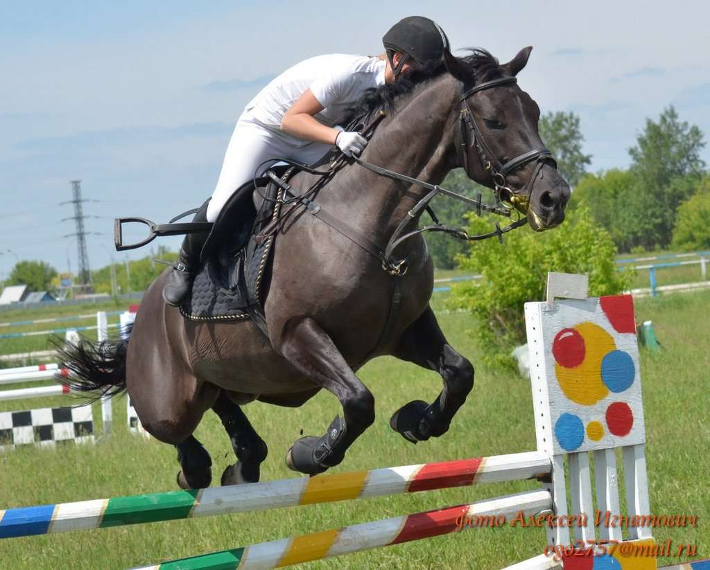 Спортивная школа олимпийского резерва по конному спорту им. Игоря Брайчева